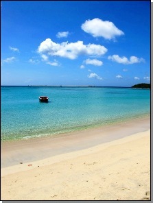 view of Paradise Beach in Carriacou Island