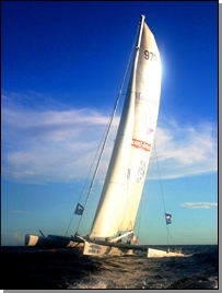 racing trimaran