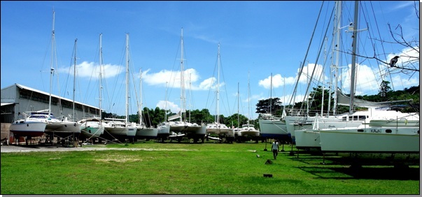 catamarans