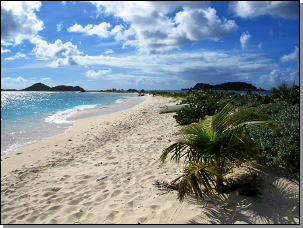 Sandy Island Grenadines