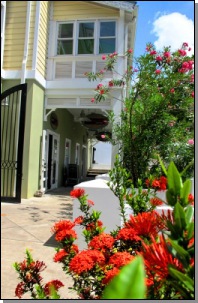 fleurs et batiments  Marigot Bay  Sainte Lucie