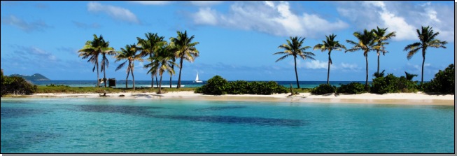 Catamaran derrire plage Mayreau cocotiers